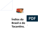 Índios Do Tocantins e Brasil