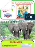 Gaceta Animal El Elefante