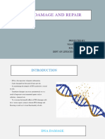 DNA Damage and Repair