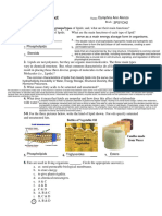 Lipid Worksheet Biochem