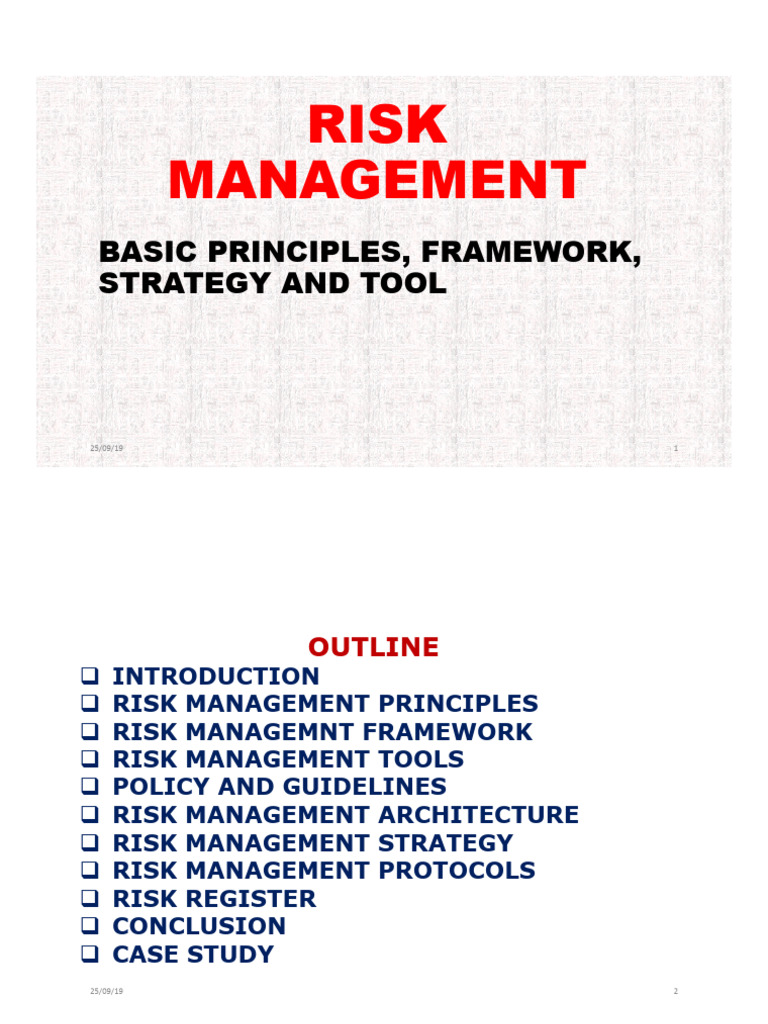 Risk Management | PDF