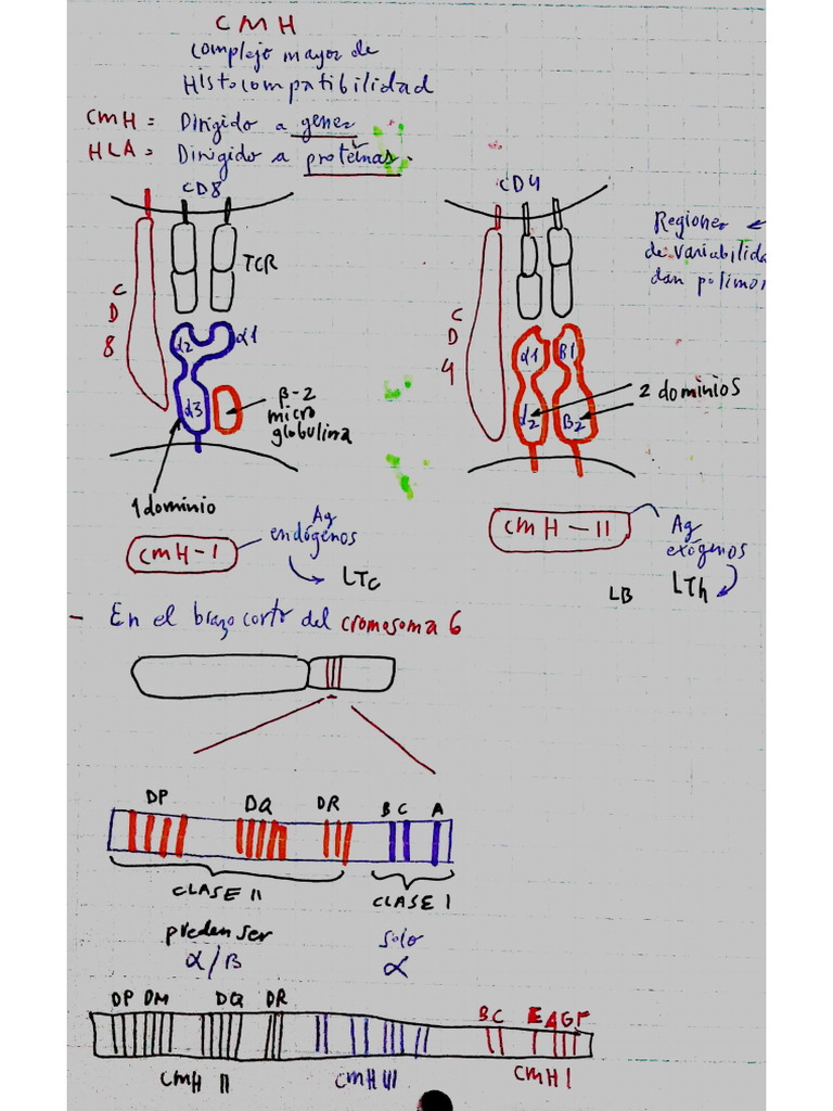 Cmh | PDF
