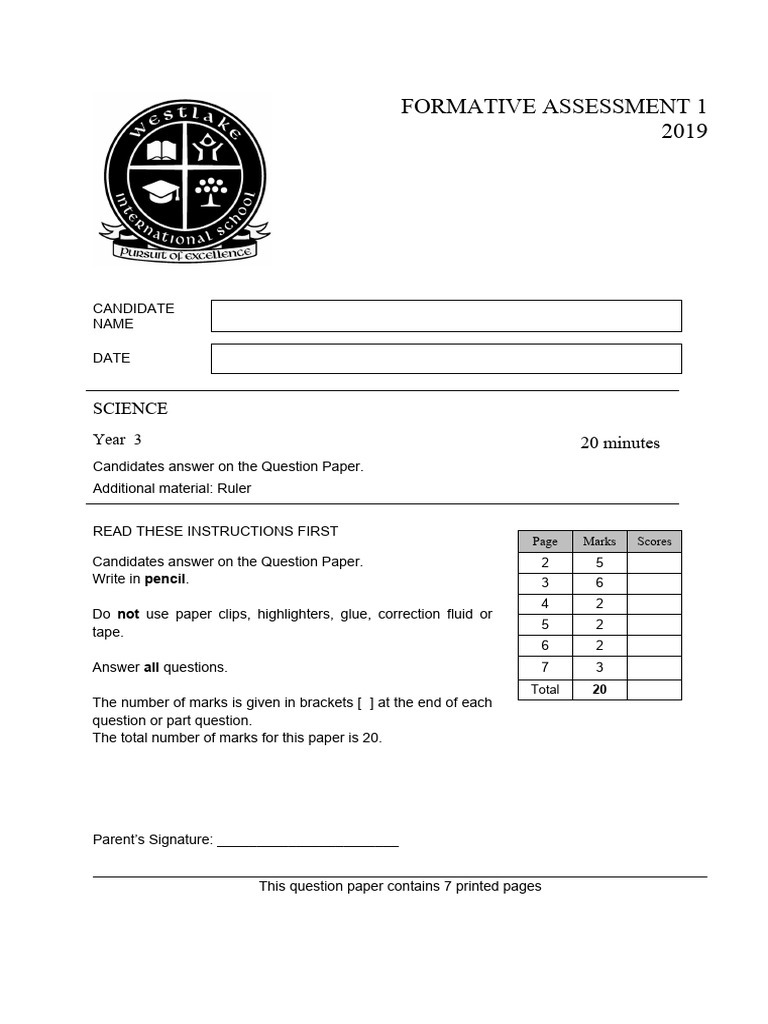 Formative Assessment 1 - Y3 - Science | PDF
