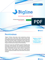 Bigline - Version 1.3
