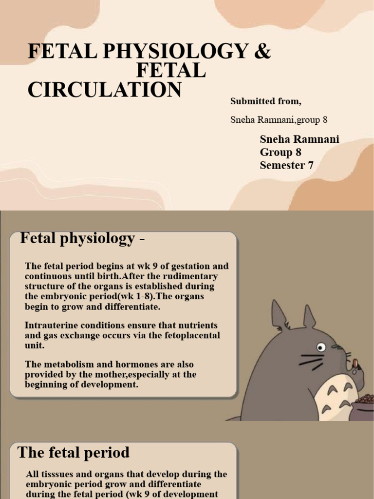 Fetal Physiology Sneha Ramnani Group 8 | PDF