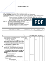 Proiect Didactic de Evaluare 4