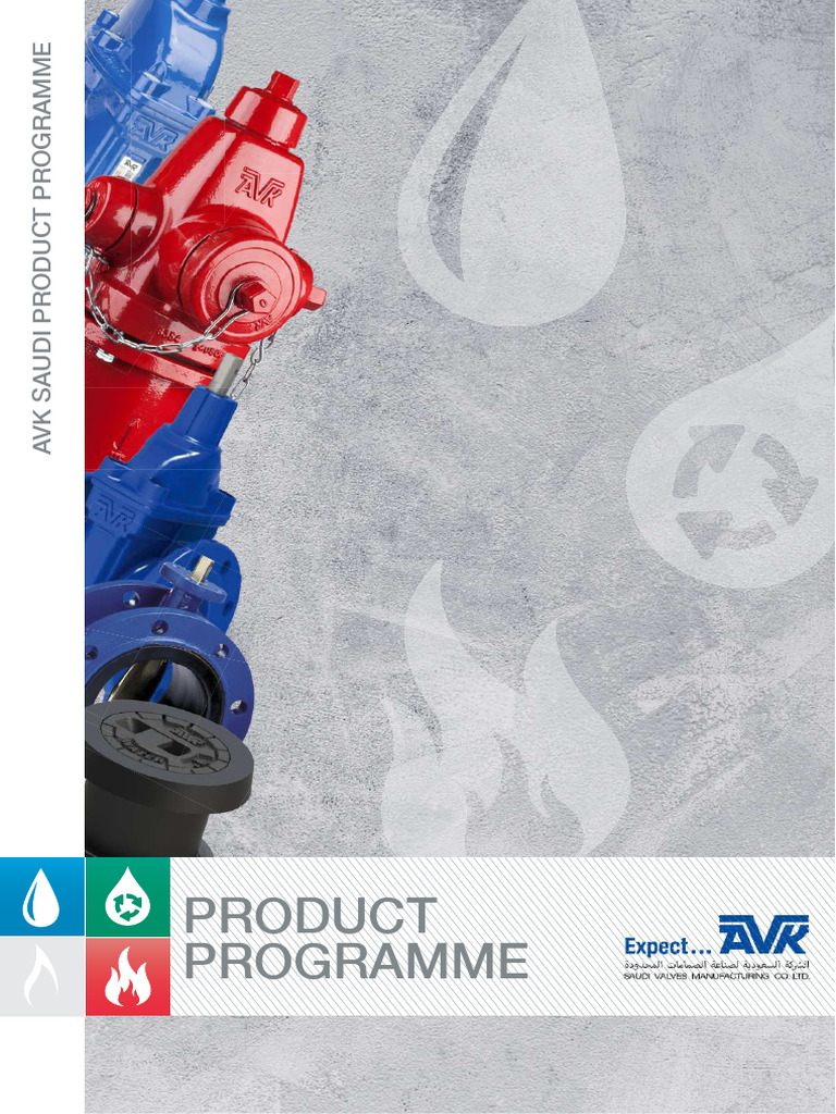 Product Program Digital2020 | PDF