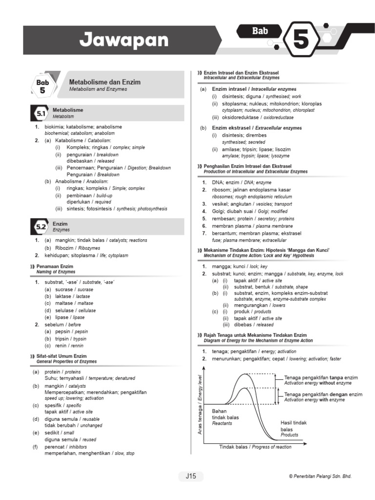 Jawapan Bab 5 | PDF