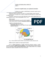 Anatomie 1 - Sanity