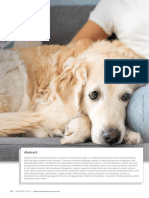 Hypercalcemia in Dogs Emergent Care Diagnostics and Treatments