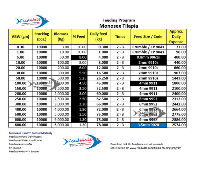 Tilapia Feeding Program Pdf