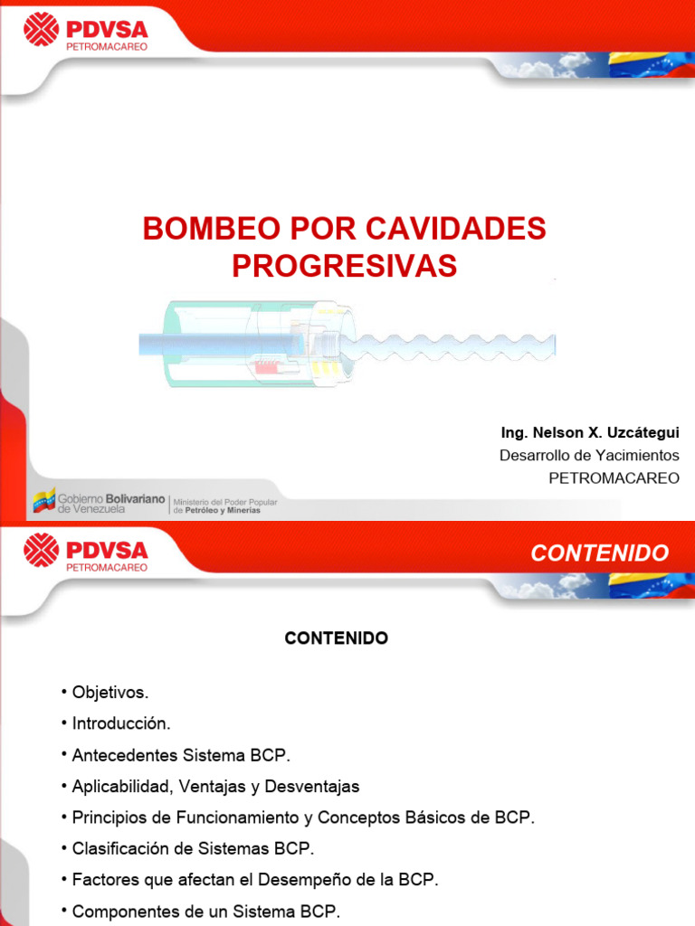 Bombas de Cavidades Progresivas BCP | PDF | Tecnología