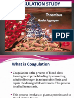 Coagulation Study