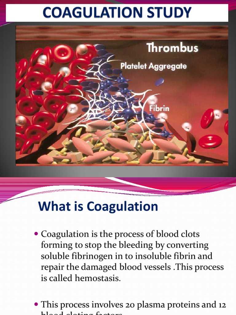 Coagulation Study | Coagulation | Blood
