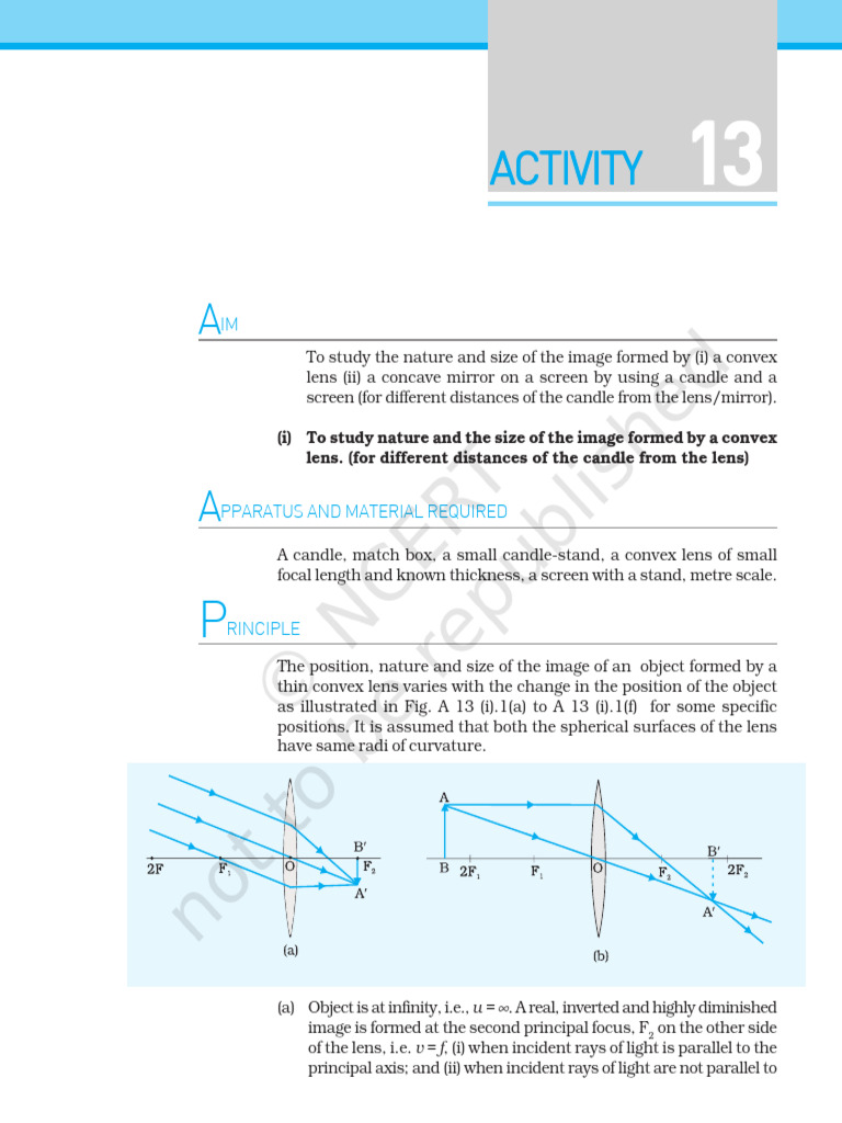 Activity 13 | PDF