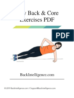 Final Low Back and Core PDF