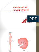 Development of Cardiovascular System PDF