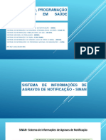 Slides - Sistema de Informaçãode Agravos e Notificações - Sinan