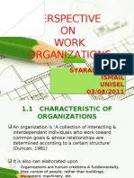 Work Organization Perspectives