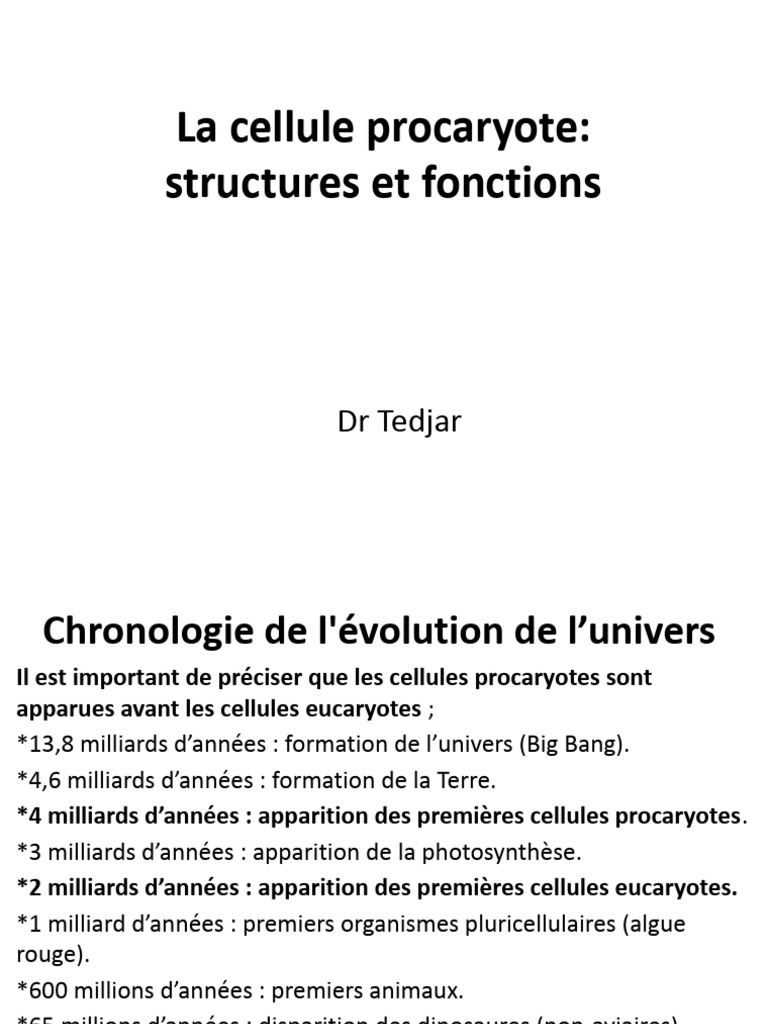 Comparaison des cellules eucaryotes et procaryotes | PDF | Maison et ...