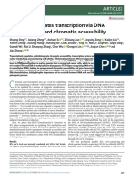 Rna M A Regulates Transcription Via DNA Demethylation and Chromatin Accessibility