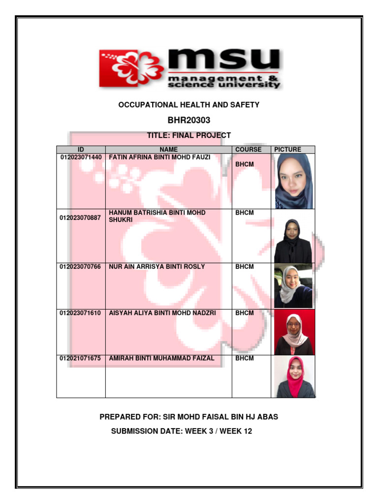 Occupational Health & Safety Project Report | PDF | Business