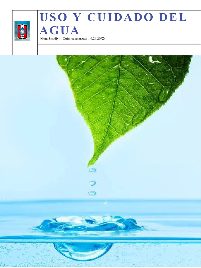 Uso y Cuidado Del Agua | PDF