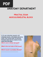 Screendem P KIrwan Spondyloarthropathy | PDF