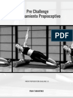 Pre Challenge - Entrenamiento Propioceptivo