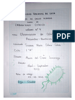 Observación de Células Procariotas Bacterias