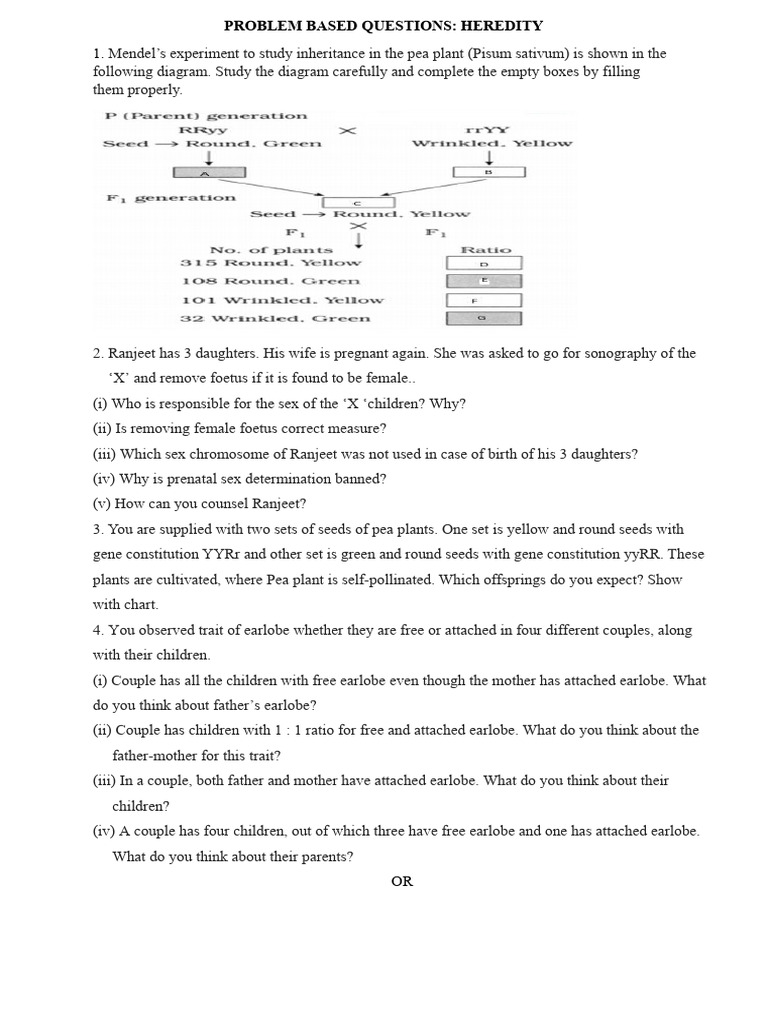 Problem based question heredity pdf