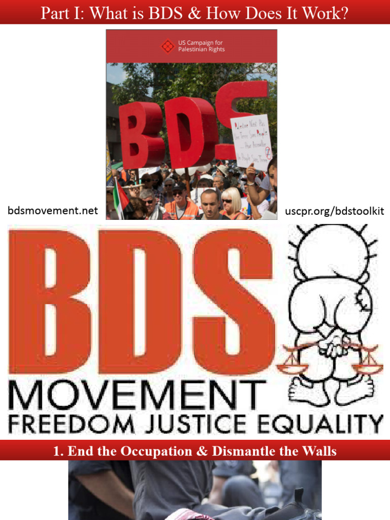 Part I What Is BDS How Does It Work PDF