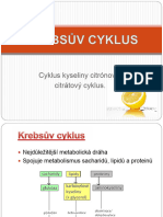 Krebsuv Cyklus