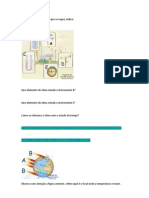 Geografia Estado Do Tempo e Clima