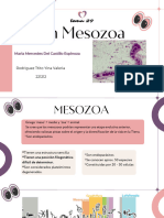 Tema 29 Mesozoa