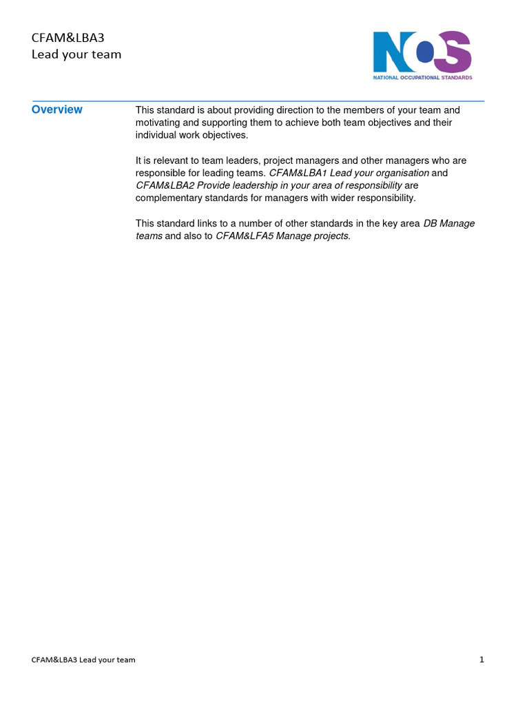 Effective Team Leadership Standards | PDF