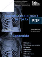 1-Anatomia de Torax Yelika
