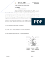 Sistema Respiratorio 1