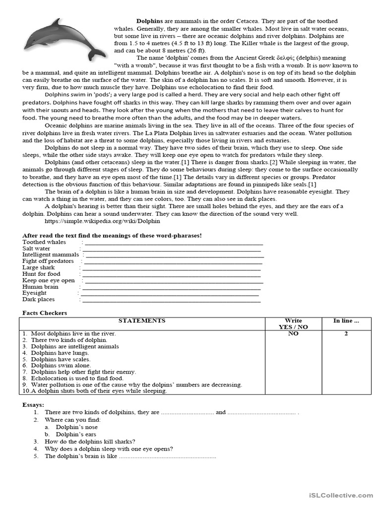 Dolphin Pdf