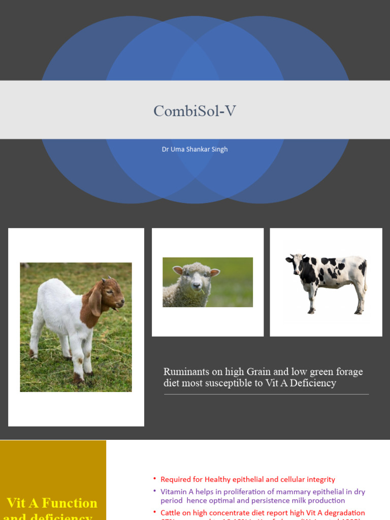 CombiSol V | PDF