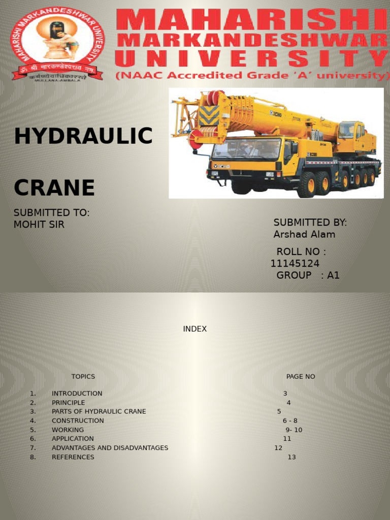 Hydraulic Crane | PDF