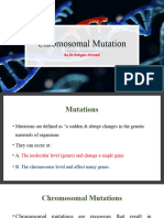 Chapter 3.3 Chromosomal Mutation