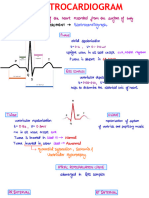 Activity of Surface: Electrocardiograph
