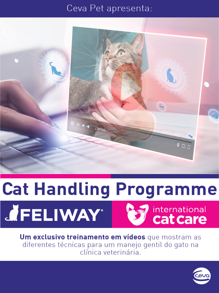 Programa de Manejo Gentil de Gatos | PDF