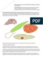 Protozoários Causadores de Doenças