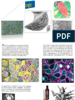 Cell Biology by Dimitris Katsidoniotis