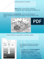 Ecología Clase 2 PDF