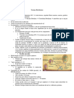 Anatomía de Aplicación de Botox | PDF | Nariz humana | Anatomía humana