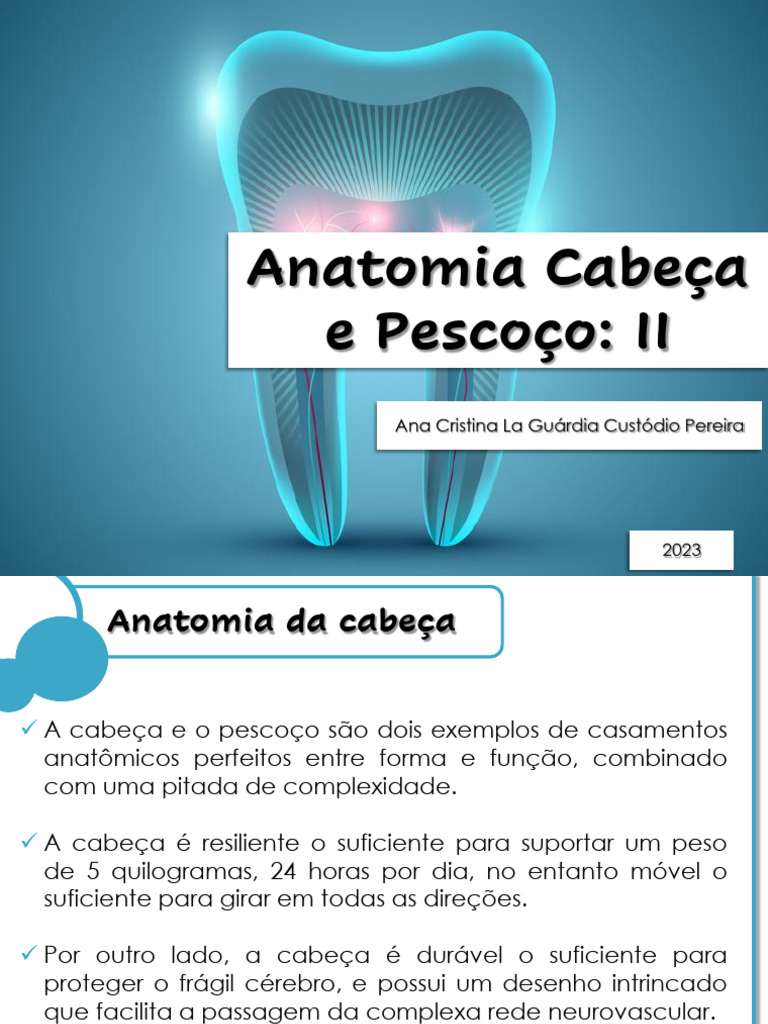 Anatomia Cabeça E Pescoço Ii Pdf