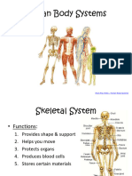 BE Human Organ Systems